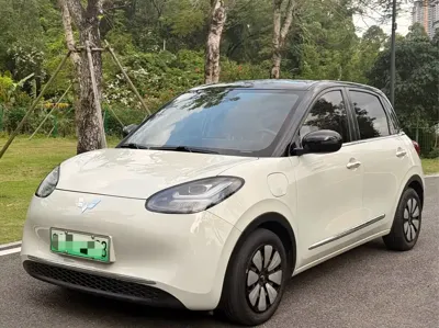Wuling Bingo