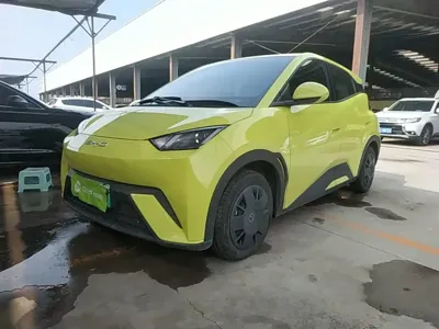 BYD Seagull