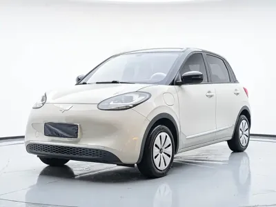 Wuling Bingo