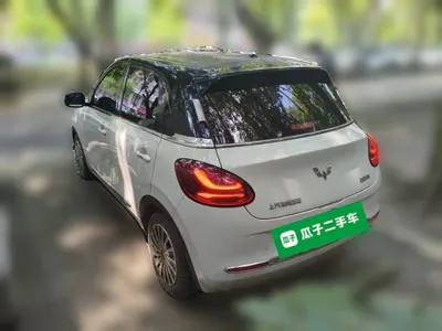 Wuling Bingo