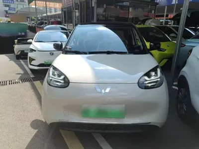 Wuling Bingo