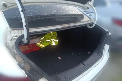 Geely Auto Binray