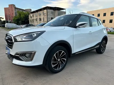 Zotye Zotye T300
