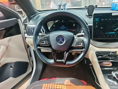 BYD Song PLUS New Energy