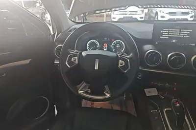 WEY VV6