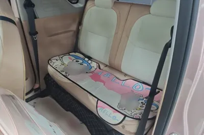 Geely Galaxy Panda