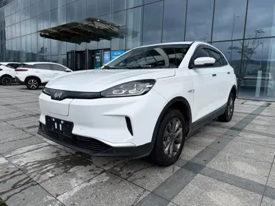 WM Motor EX5