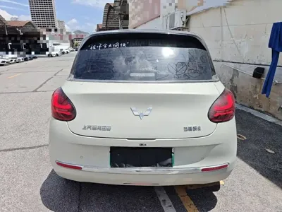 Wuling Bingo