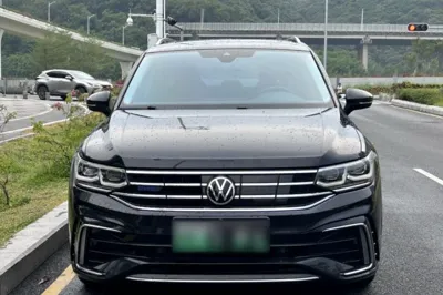 Volkswagen Tiguan L New Energy