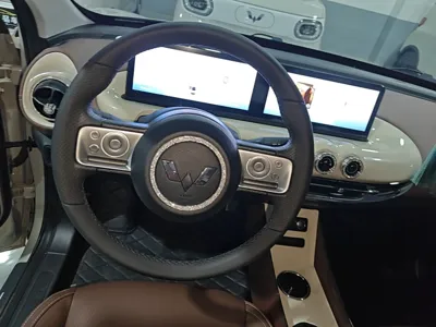 Wuling Bingo