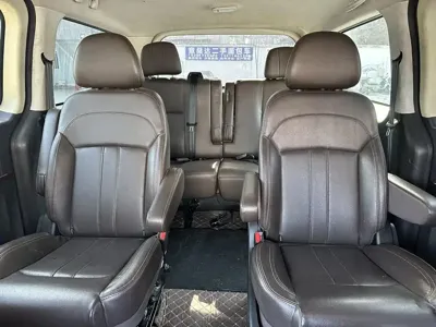 Fengxing Lingzhi PLUS