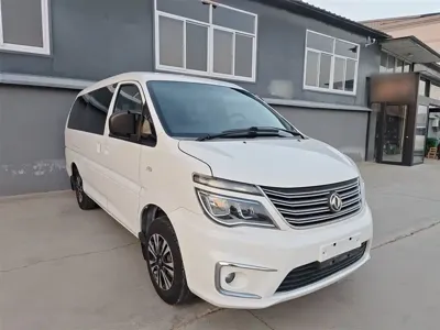 Fengxing Lingzhi