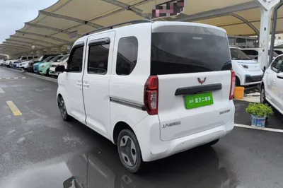 Wuling Zhiguang New Energy