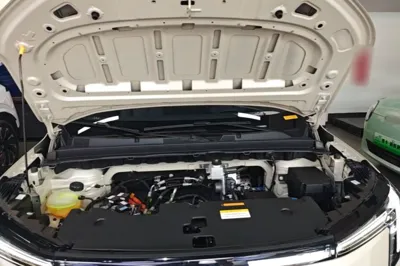 Dongfeng NAMMI 06