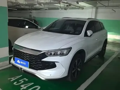 BYD Pro New Energy