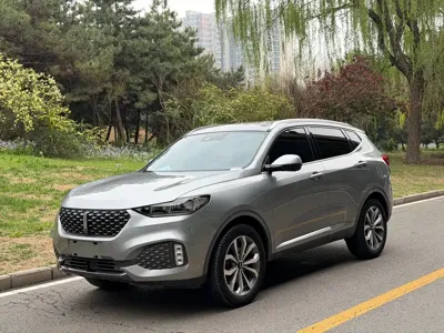 WEY Wey VV6
