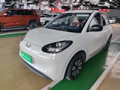 Wuling Bingo