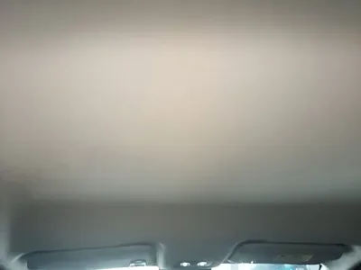 NETA Neta V