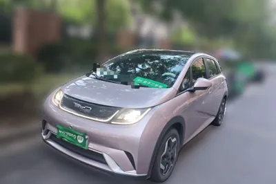 BYD Dolphin