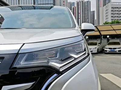 Denza Denza D9