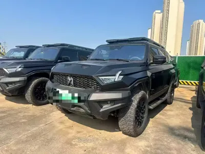 Mengshi Mengshi 917