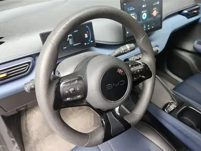 BYD Seagull
