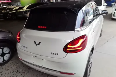 Wuling Bingo