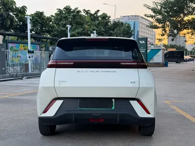 BYD Seagull
