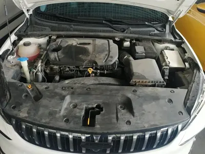 Geely Binrui