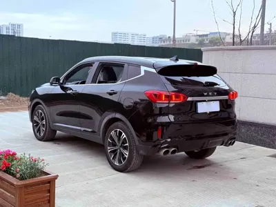 WEY Wey VV6