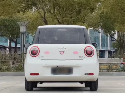 Changan Lumin
