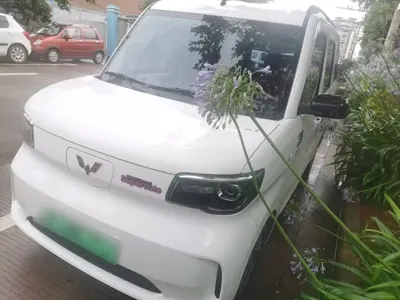 Wuling Zhiguang EV