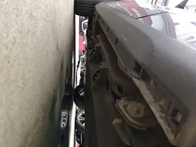 NETA Neta V