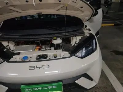 BYD Seagull