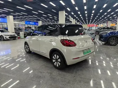 Wuling Bingo