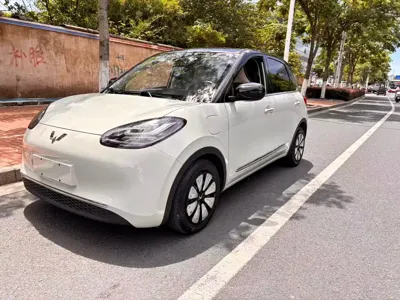 Wuling Bingo