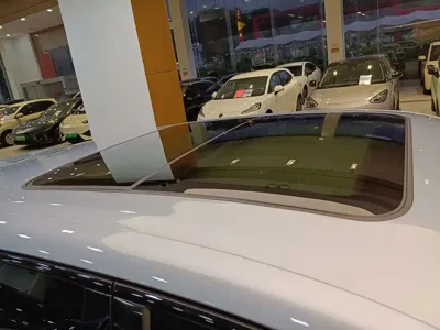 NETA Neta L