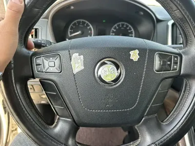 Fengxing Lingzhi PLUS
