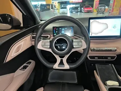 BYD Seagull