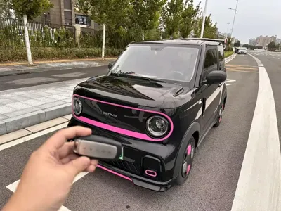 Galaxy Panda