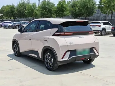 BYD Seagull