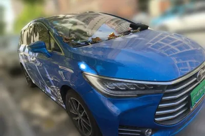 BYD Song Max