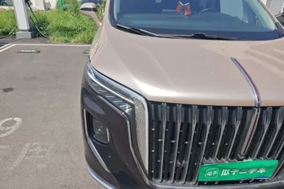 Hongqi HQ9