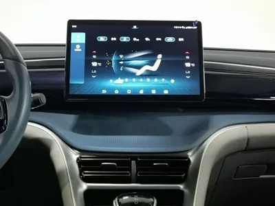 BYD Pro