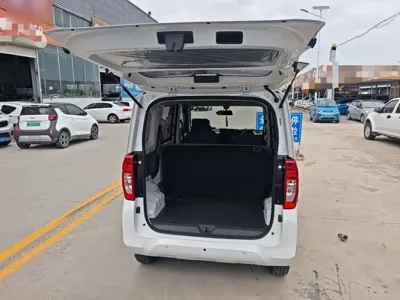Wuling Zhiguang EV
