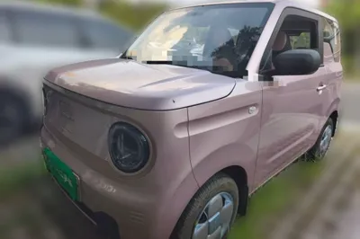 Geely Galaxy Panda