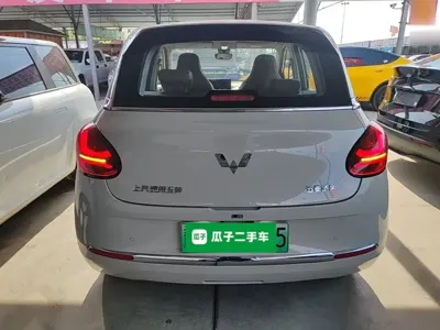 Wuling Bingo