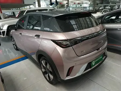 BYD Dolphin