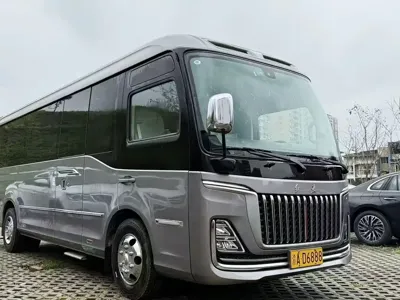 Hongqi 红旗金葵花国悦