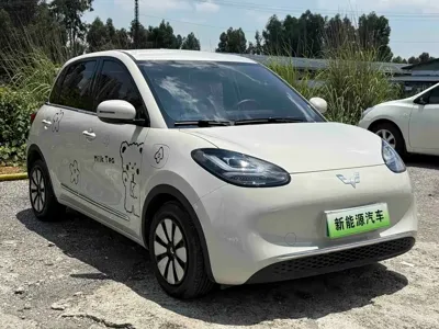 Wuling Bingo